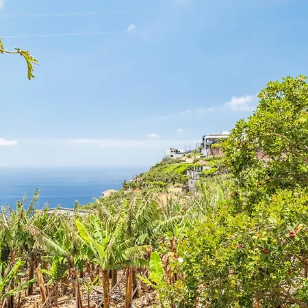 Amendoeira By Homie * Ponta do Sol (Madeira)