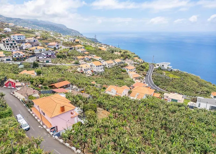 Amendoeira By Homie *