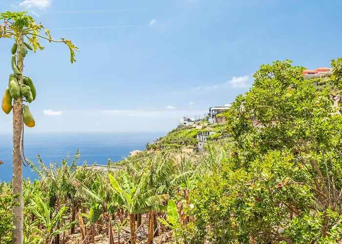 Amendoeira By Homie * Ponta do Sol (Madeira)
