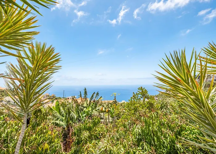 Amendoeira By Homie Casa vacanze